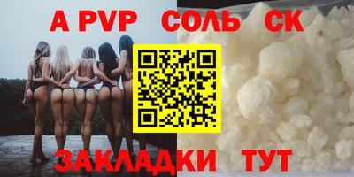 индика Новодвинск