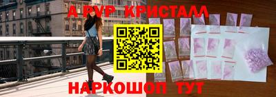 индика Новодвинск
