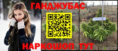 индика Новодвинск