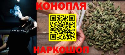 индика Новодвинск