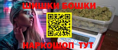 индика Новодвинск