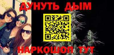 индика Новодвинск