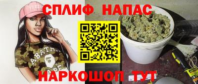 индика Новодвинск